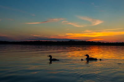 What Disqualifies You From Being a Foster Parent in Minnesota?